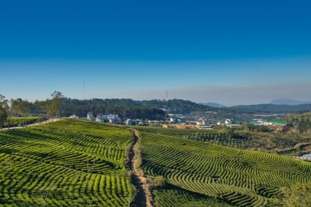 Đi đâu chơi ở Đà Lạt? Các địa điểm du lịch tốt nhất tại Đà Lạt